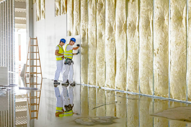 Best Insulation Installation Services in Walnutport, PA